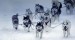 karen ramstead´s sled dog team during the 2005 iditarod great sled race in alaska